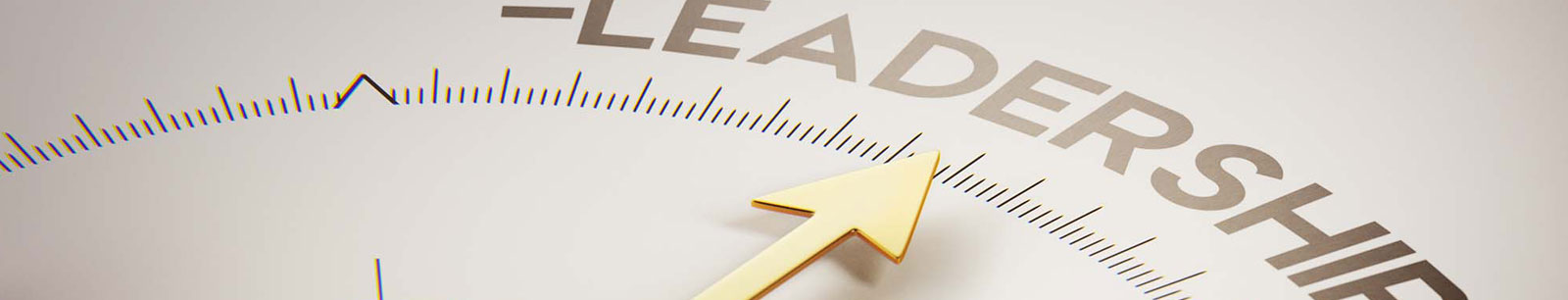 Leadership Banner